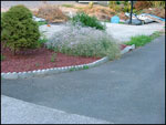 Scalloped brick prefab border looks irregular and unprofessional.