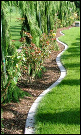 Beautiful smooth concrete curbing installed along a gogeous landscape bed.